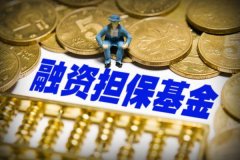 投资集中风险升高 基金“双十”红线不能“碰了