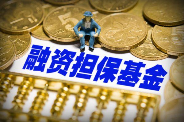 投资集中风险升高 基金“双十”红线不能“碰了白碰”